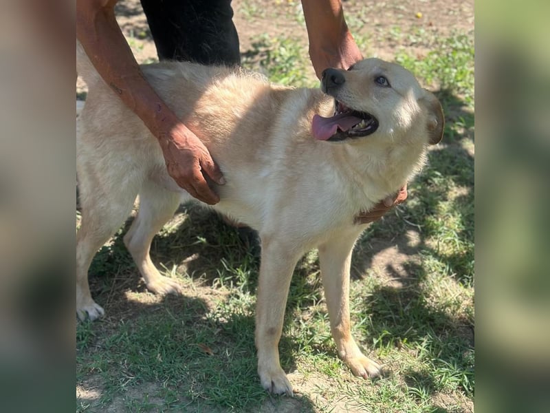 TOKALA – Ein Sonnenschein, der endlich gesehen werden möchte ☀️