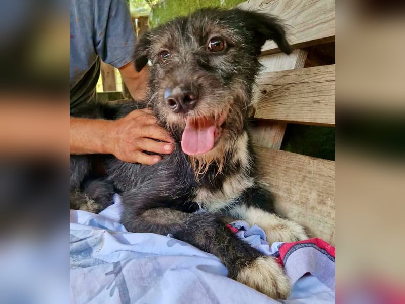 Luna sucht einen Ort zum Ankommen