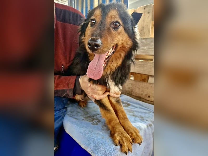 Junger Traumbursche Larry