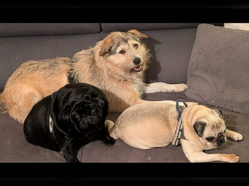 Freundliche Mia sucht Ihre Herzensmenschen