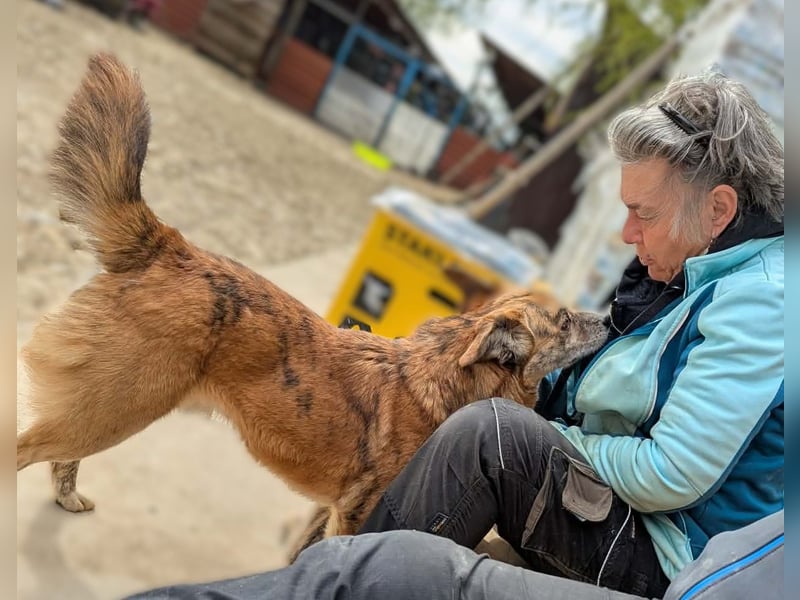 Simba – sensibel, verschmust, lustig