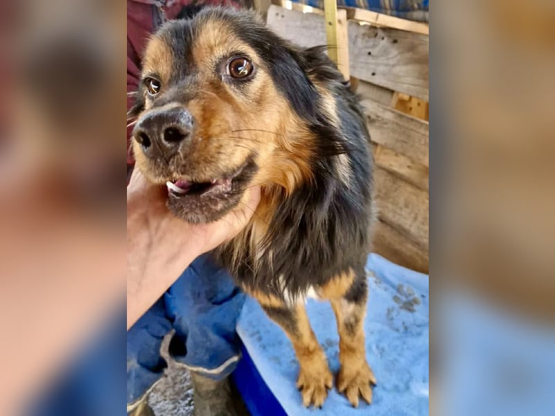 Junger Traumbursche Larry