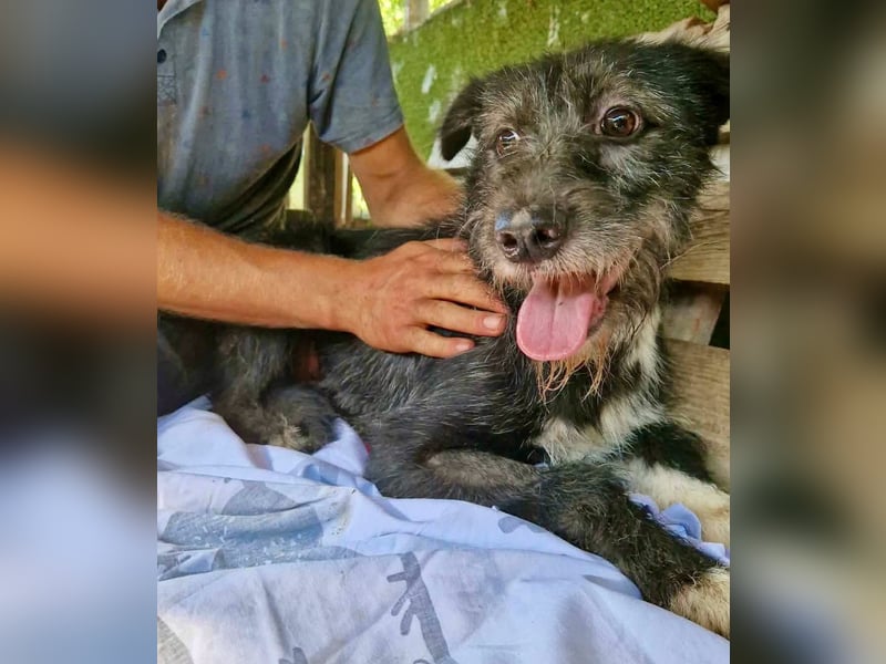Luna sucht einen Ort zum Ankommen