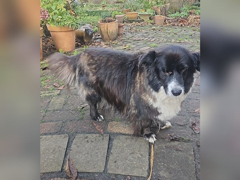 Gnadenplatz für Max gesucht