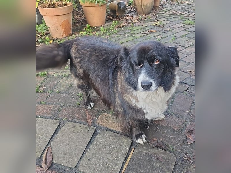 Gnadenplatz für Max gesucht