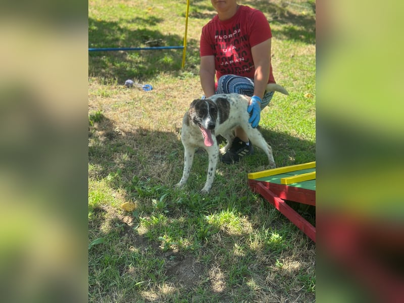 Püppie - 10 Monate - mittelgroß