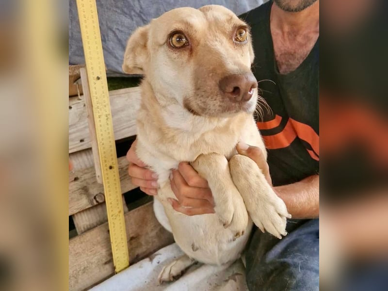 Delia, sanfte Schönheit sucht ihre Familie