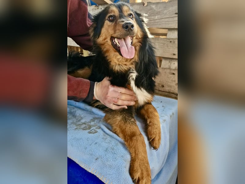 Junger Traumbursche Larry