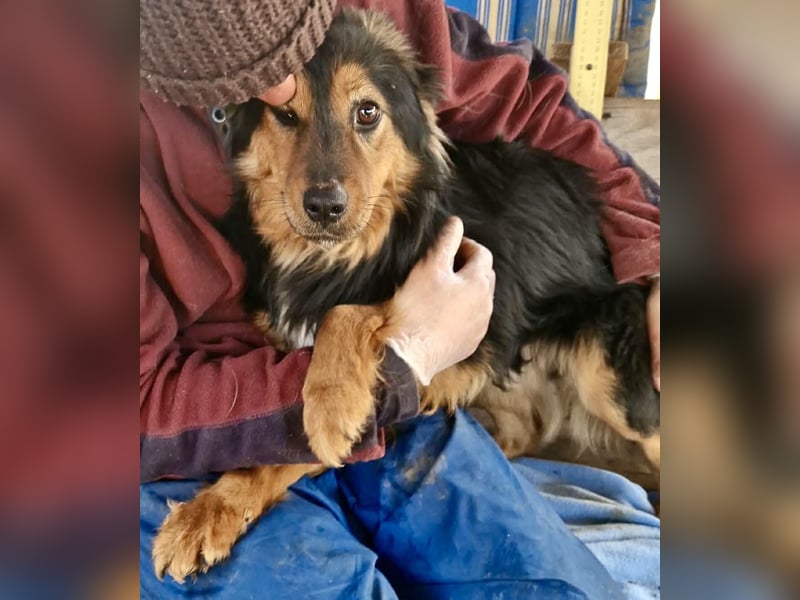 Junger Traumbursche Larry