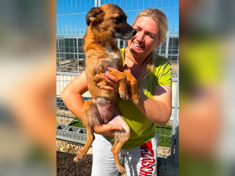 Sanfte Karla sucht ein liebevolles Zuhause