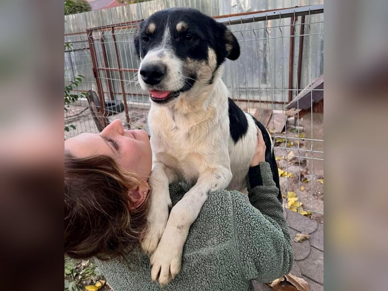 Jaron - bildhübscher, junger Bursche