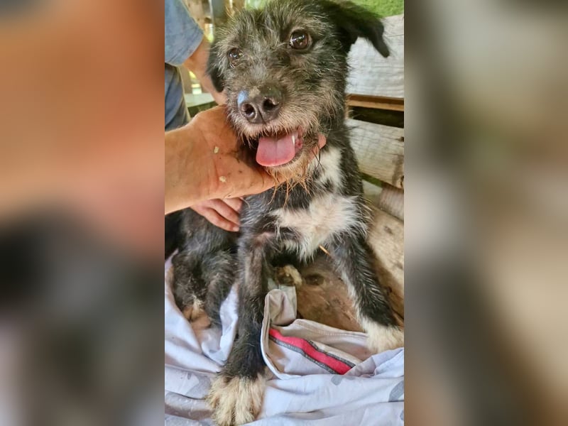 Luna sucht einen Ort zum Ankommen