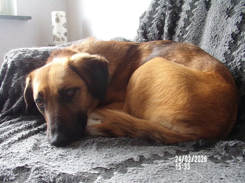 Sira wartet auf ihr Happy End