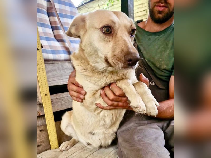 Delia, sanfte Schönheit sucht ihre Familie