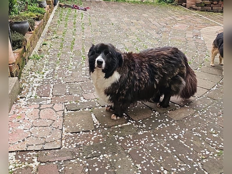 Gnadenplatz für Max gesucht