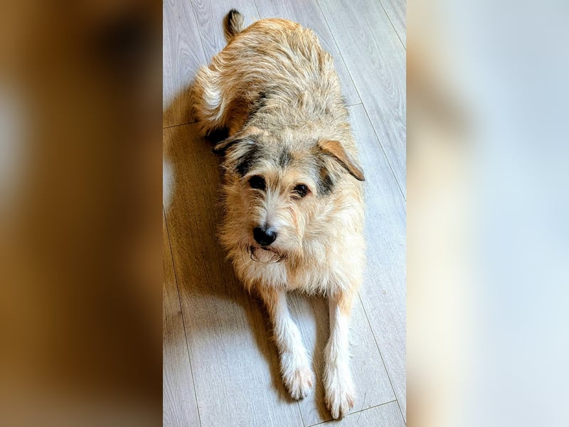 Freundliche Mia sucht Ihre Herzensmenschen