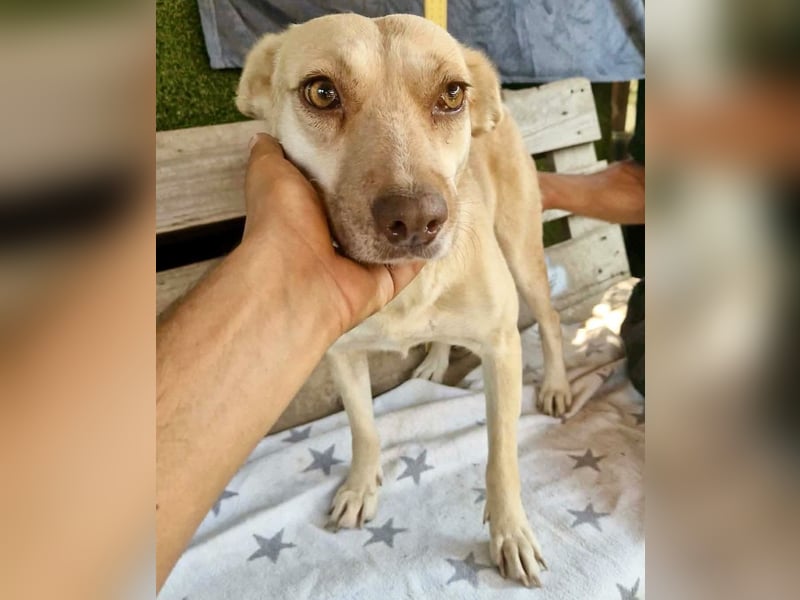 Delia, sanfte Schönheit sucht ihre Familie