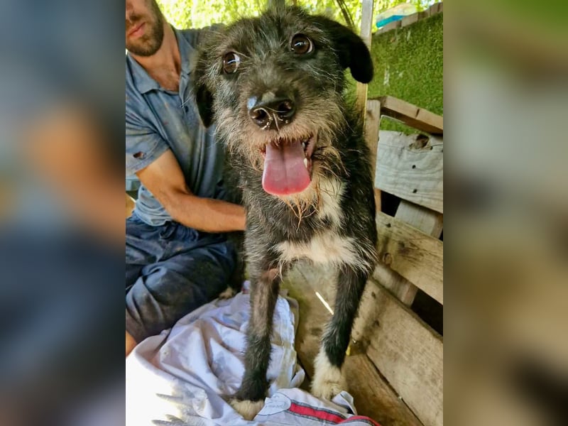 Luna sucht einen Ort zum Ankommen