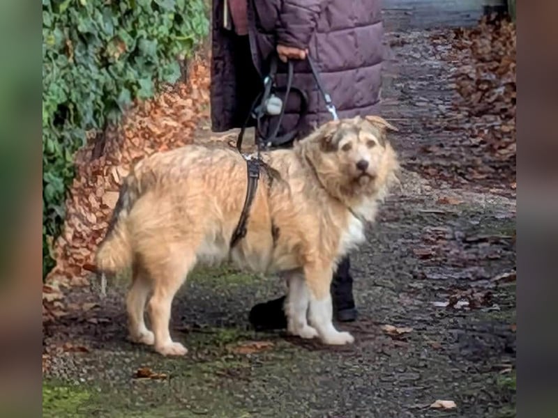 Freundliche Mia sucht Ihre Herzensmenschen