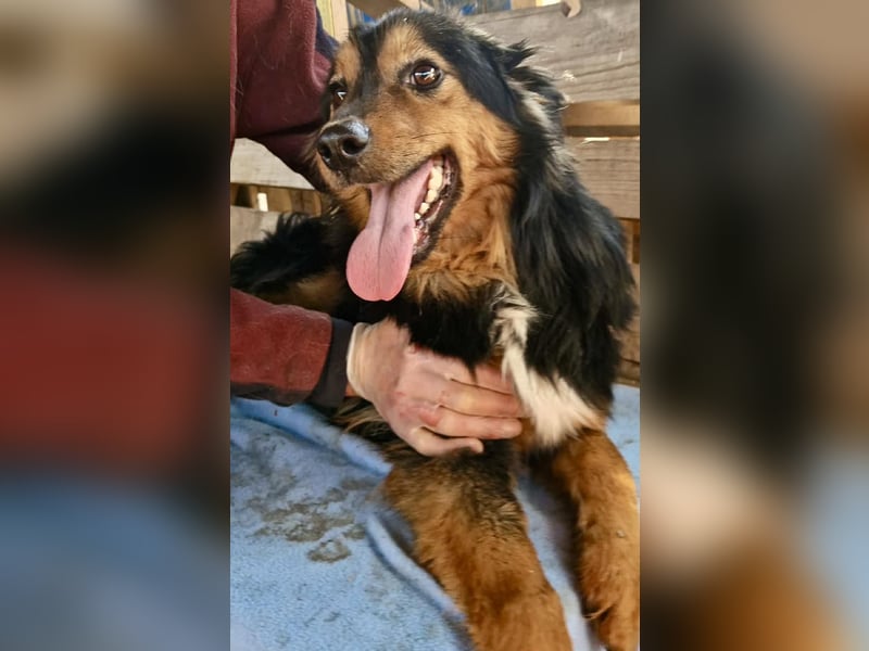 Junger Traumbursche Larry