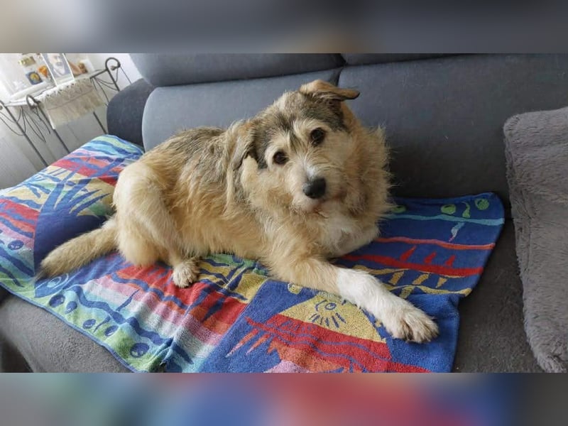 Freundliche Mia sucht Ihre Herzensmenschen