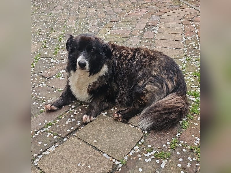 Gnadenplatz für Max gesucht