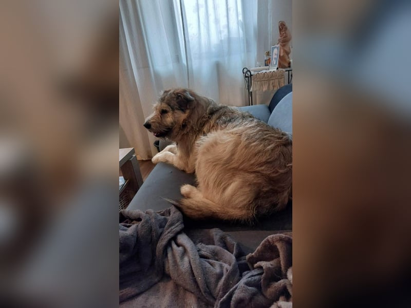 Freundliche Mia sucht Ihre Herzensmenschen