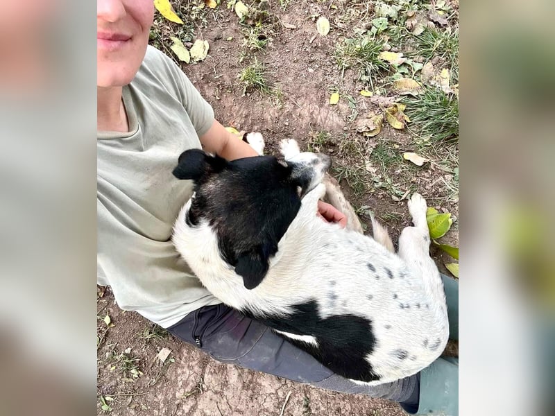 Jaron - bildhübscher, junger Bursche