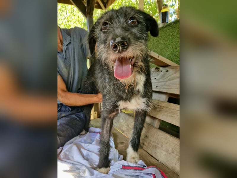 Luna sucht einen Ort zum Ankommen