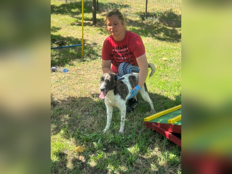 Püppie - 10 Monate - mittelgroß