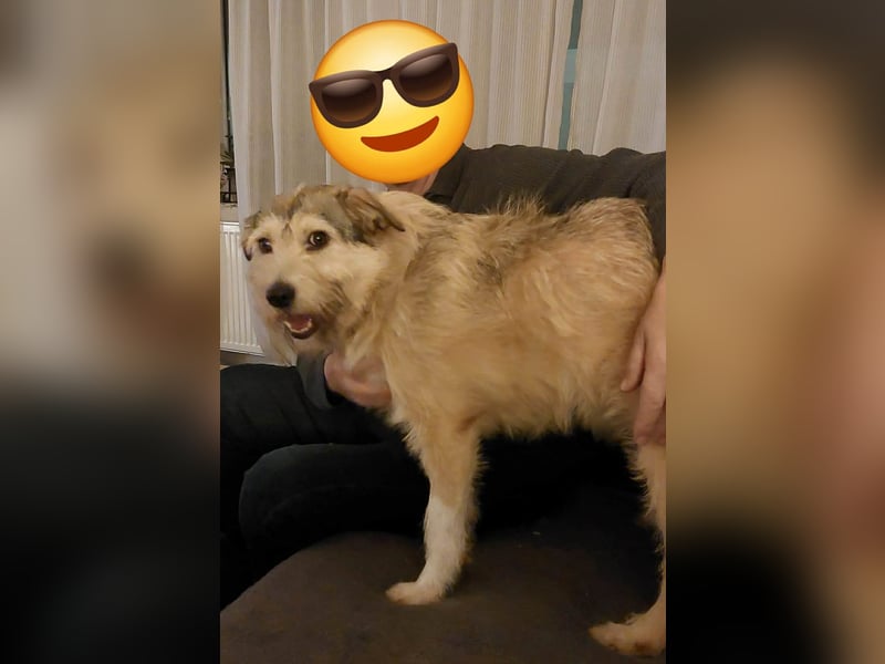 Freundliche Mia sucht Ihre Herzensmenschen