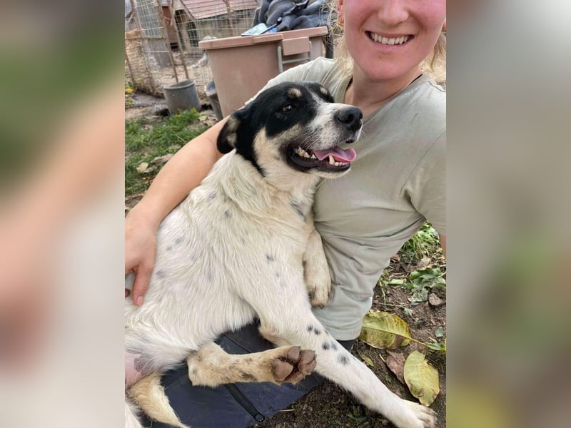 Jaron - bildhübscher, junger Bursche