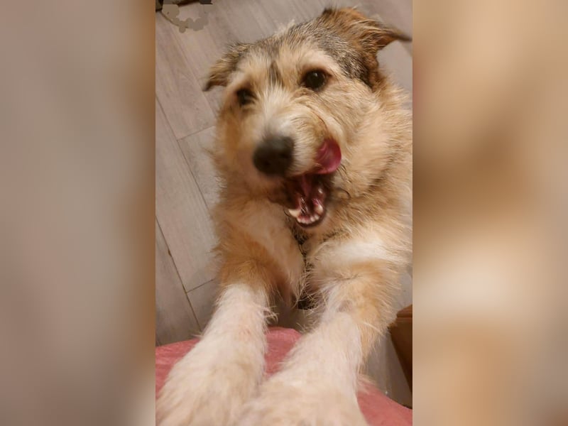 Freundliche Mia sucht Ihre Herzensmenschen