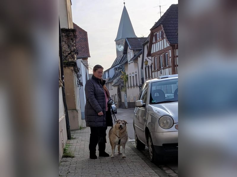 Freundliche Mia sucht Ihre Herzensmenschen