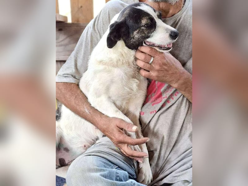 Gloria - offen und verschmust