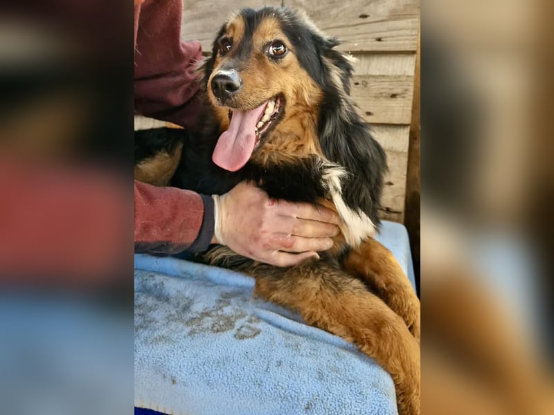 Junger Traumbursche Larry