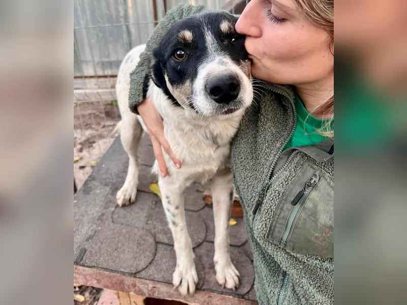 Jaron - bildhübscher, junger Bursche