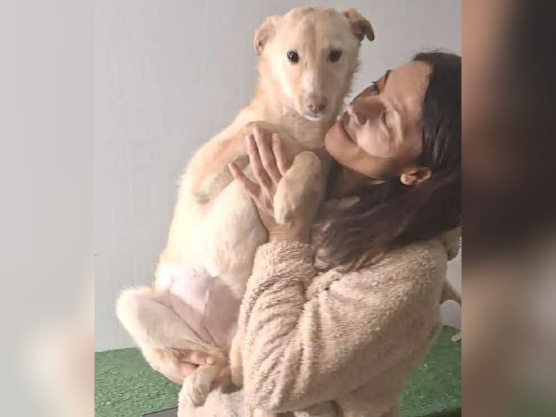 Zuckersüßes Hundemädchen Lesedi