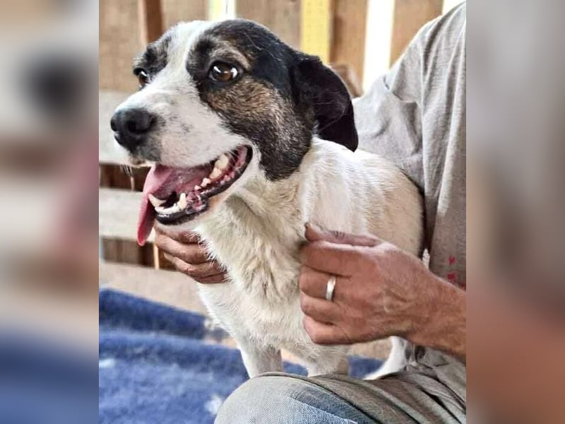 Gloria - offen und verschmust