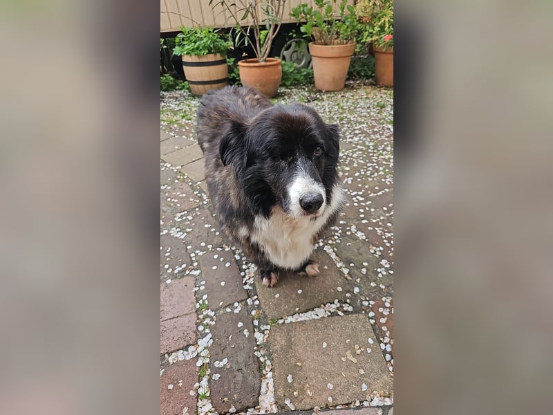 Gnadenplatz für Max gesucht