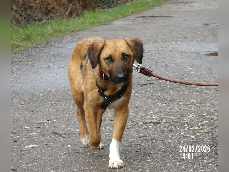 Sira wartet auf ihr Happy End