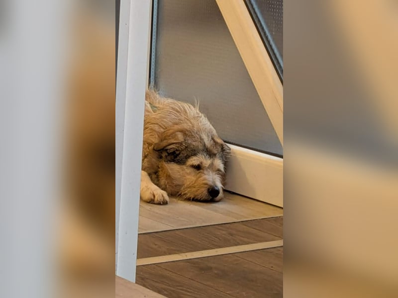 Freundliche Mia sucht Ihre Herzensmenschen