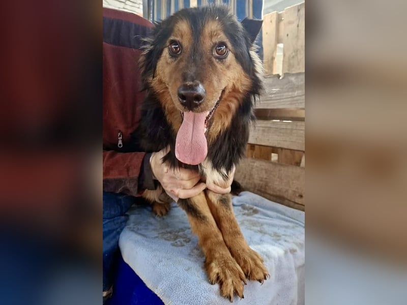 Junger Traumbursche Larry