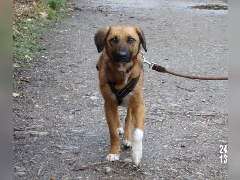 Sira wartet auf ihr Happy End
