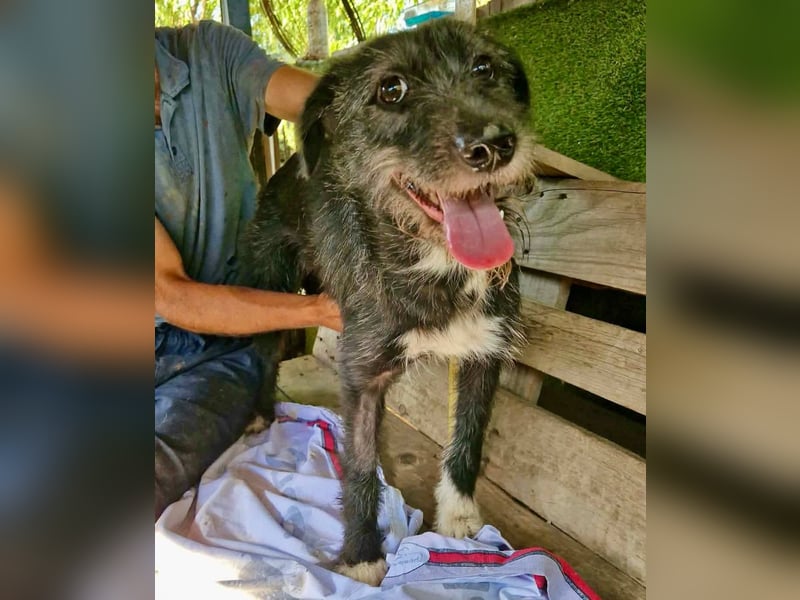 Luna sucht einen Ort zum Ankommen