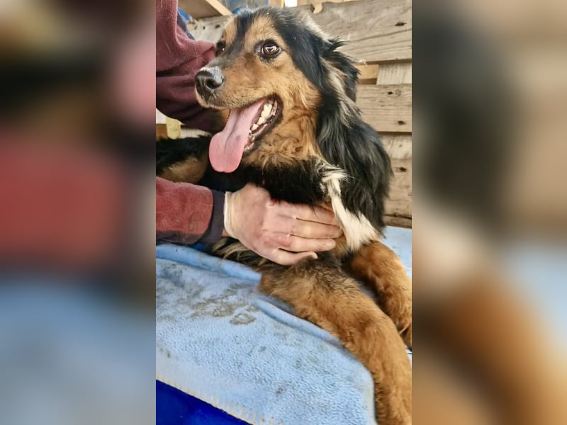 Junger Traumbursche Larry