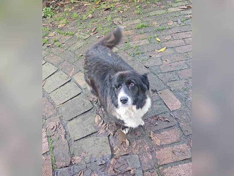 Gnadenplatz für Max gesucht