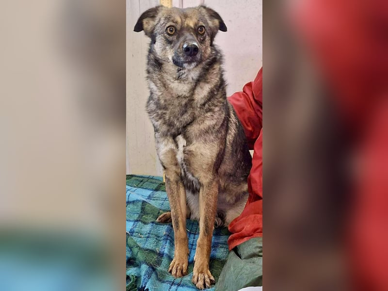 FELINA – auf der Suche nach Wärme