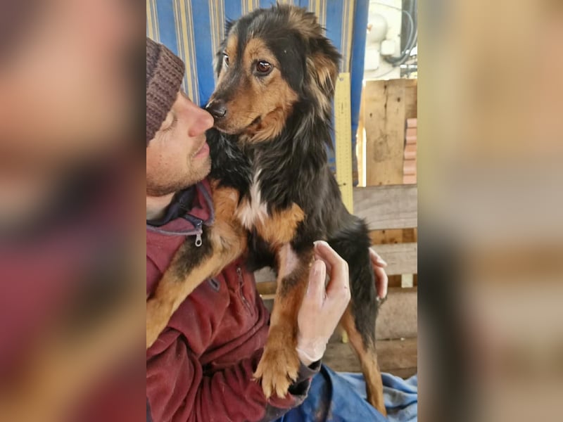 Junger Traumbursche Larry