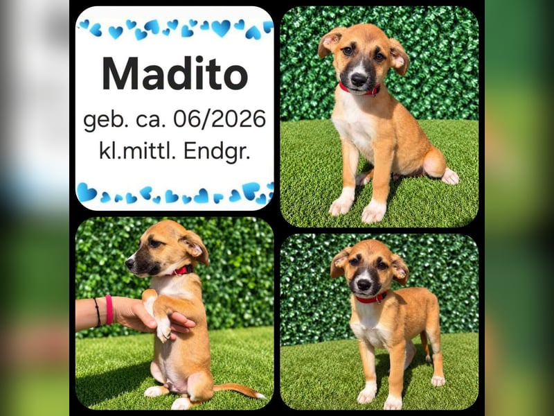 Madito möchte die Welt entdecken